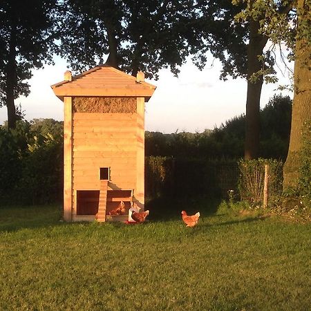 Bed En Boterham Hoeve Boord Ven Bed & Breakfast Eersel Exterior photo